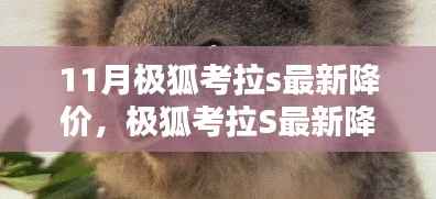 极狐考拉S最新降价解析,特性、用户体验与目标用户分析