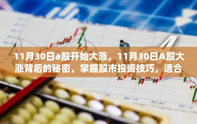 揭秘11月30日A股大涨背后的秘密,股市投资技巧全解析,适合初学者与进阶用户实战指南