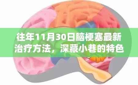揭秘脑梗塞最新治疗方法,特色小店深藏小巷,带你了解往年11月30日的最新治疗进展