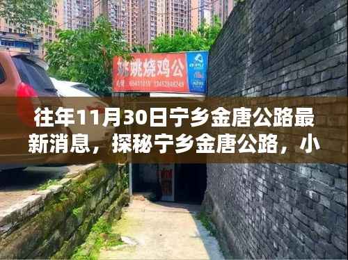 探秘宁乡金唐公路,最新消息与小巷深处的特色风情揭秘