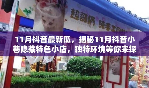 揭秘十一月抖音小巷隐藏特色小店,独特环境掀起新一波打卡热潮!