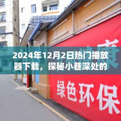 探秘小巷深处的音乐宝藏,热门播放器下载之旅(2024年)