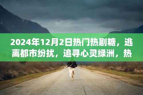 热门热剧糖中的心灵绿洲,自然之旅的逃离与追寻