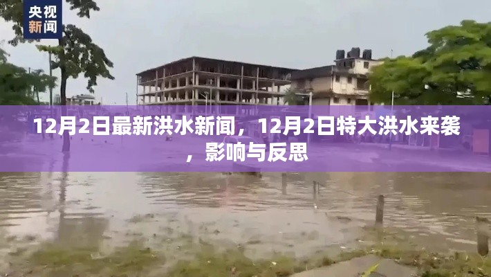 12月2日特大洪水来袭,影响与反思