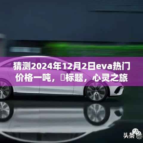 心灵之旅探寻未来EVA热门价格,揭秘预测与自然的神秘魅力