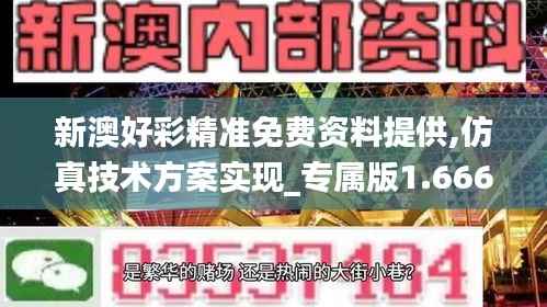 新澳好彩精准免费资料提供,仿真技术方案实现_专属版1.666