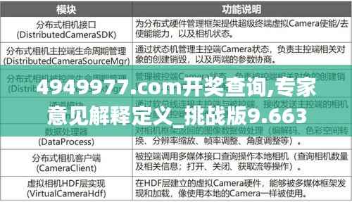4949977.соm开奖查询,专家意见解释定义_挑战版9.663
