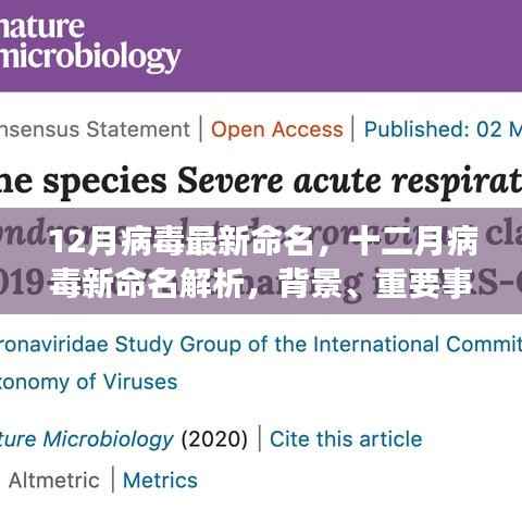 十二月病毒最新命名解析，背景、事件、影响与时代地位全解读