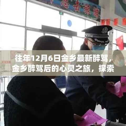 金乡醉驾后的心灵探索,自然美景成心灵慰藉之旅