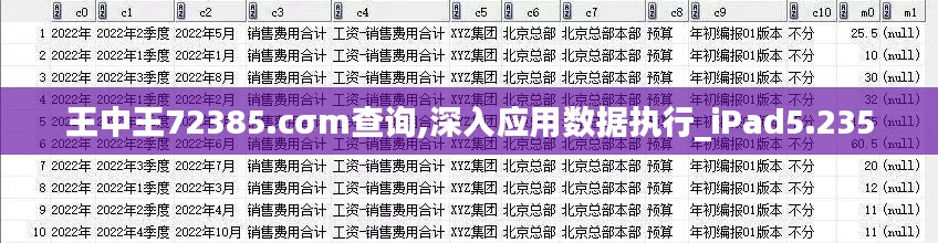 王中王72385.cσm查询,深入应用数据执行_iPad5.235