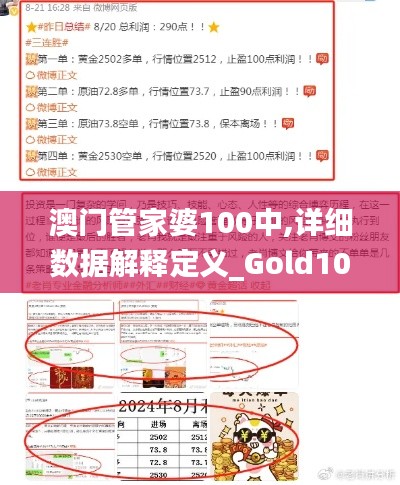澳门管家婆100中,详细数据解释定义_Gold10.696