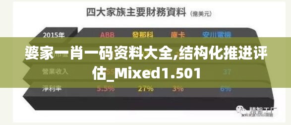 婆家一肖一码资料大全,结构化推进评估_Mixed1.501