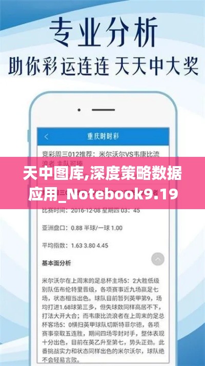 天中图库,深度策略数据应用_Notebook9.198