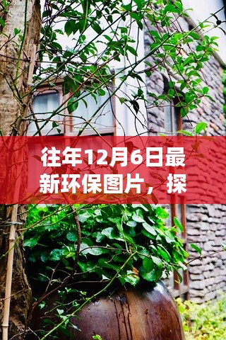 刻画入微 第4页