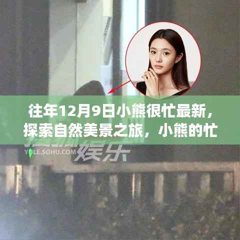 小熊的奇妙冒险,忙碌十二月的自然美景探索与内心平静之旅