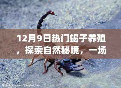 箪瓢陋室 第4页