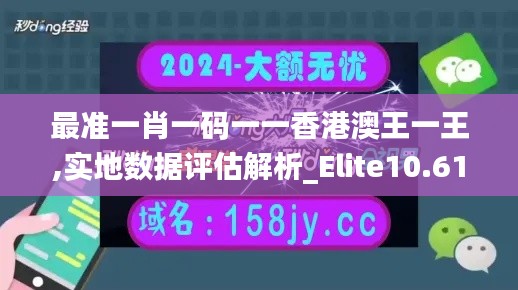 最准一肖一码一一香港澳王一王,实地数据评估解析_Elite10.616