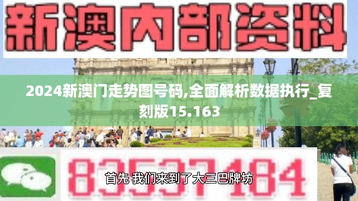 2024新澳门走势图号码,全面解析数据执行_复刻版15.163