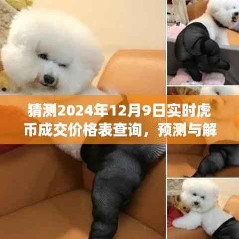 虎币价格预测,解析与展望2024年12月9日虎币实时成交价格