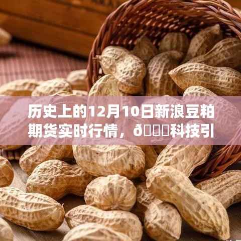 揭秘历史上的新浪豆粕期货实时行情,科技引领未来,新功能体验之旅