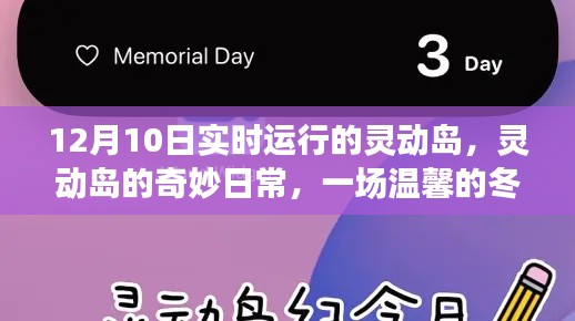 温馨冬日冒险,灵动岛的实时运行与奇妙日常