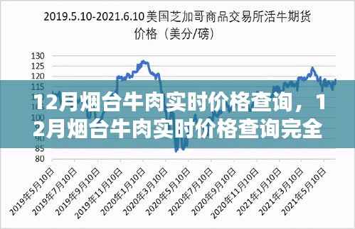 掌握最新烟台牛肉价格,全面攻略助你轻松查询