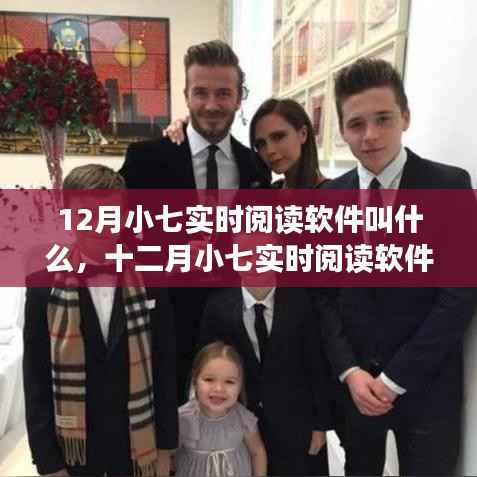 十二月小七实时阅读软件的命名探讨,软件命名艺术与小七实时阅读的命名之路