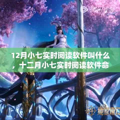 十二月小七实时阅读软件的命名探讨,软件命名艺术与小七实时阅读的命名之路