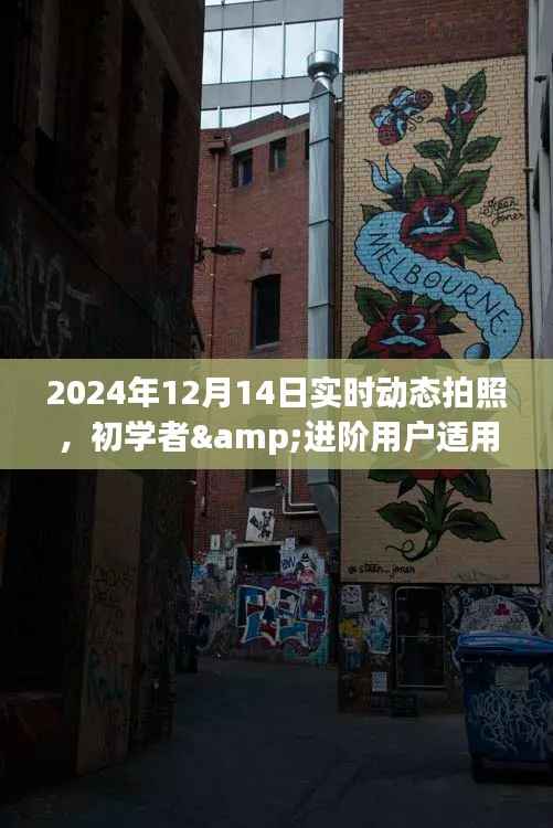 初学者与进阶用户适用的实时动态拍照指南,详细步骤与技巧(适用于2024年12月14日)