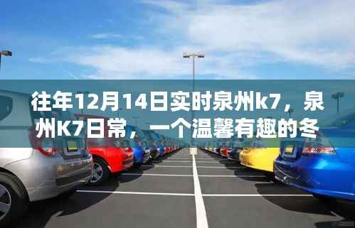 温馨冬日奇遇,泉州K7的日常生活记录