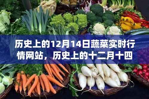 蔬菜实时行情网站演变之旅,回顾历史上的十二月十四日发展轨迹