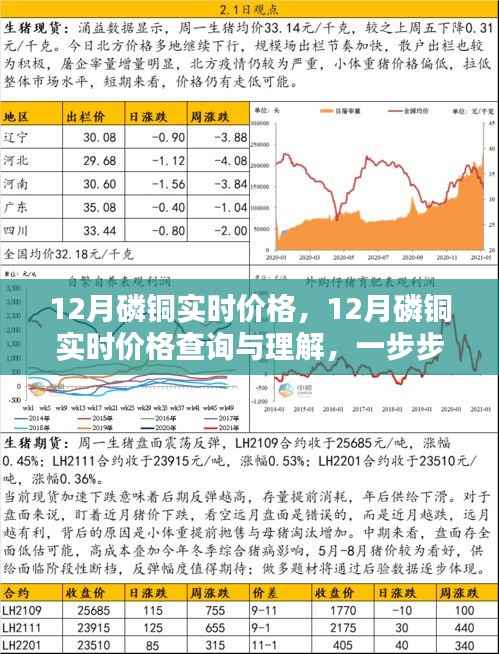 掌握行情信息,12月磷铜实时价格查询与解析