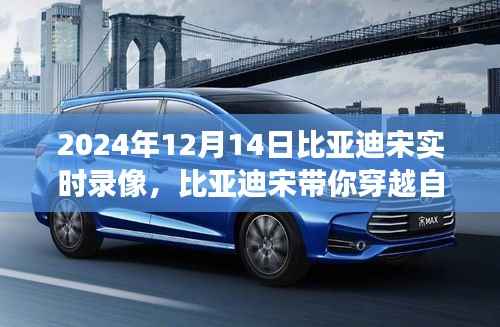 比亚迪宋带你穿越自然秘境,寻找内心平静的旅程纪实录像(2024年1月实拍)