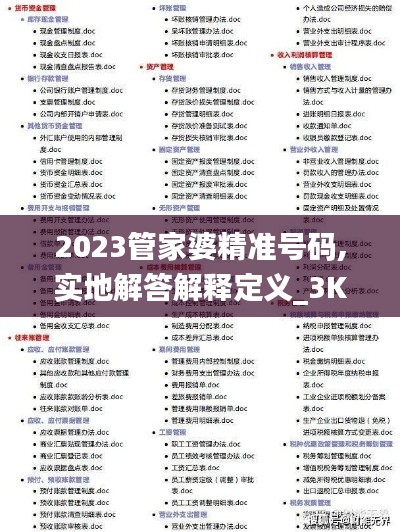 2023管家婆精准号码,实地解答解释定义_3K13.908