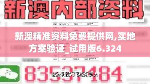 新澳精准资料免费提供网,实地方案验证_试用版6.324