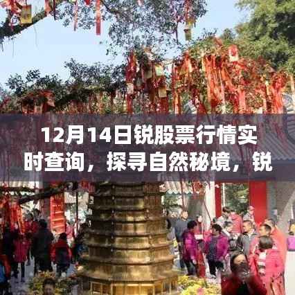 12月14日锐股票行情实时查询，心灵之旅探寻自然秘境的股市动态