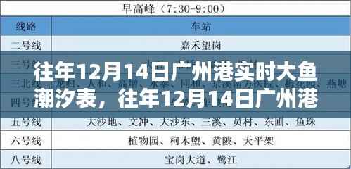 往年12月14日广州港潮汐表深度解析,大鱼潮汐实时数据与介绍