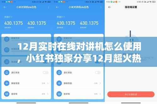 小红书独家分享,12月实时在线对讲机使用指南,轻松上手无障碍沟通!