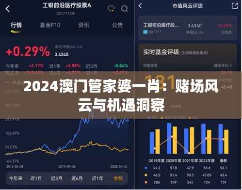 2024澳门管家婆一肖:赌场风云与机遇洞察