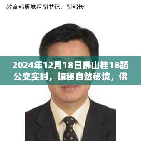 佛山桂18路公交车,探秘自然秘境的奇妙旅程启程于今日,实时追踪报道!