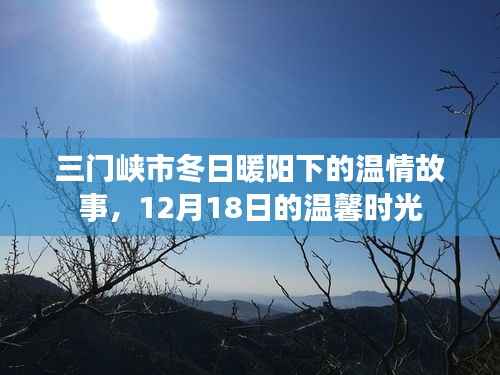 三门峡市冬日暖阳下的温情故事,12月18日的温馨时光