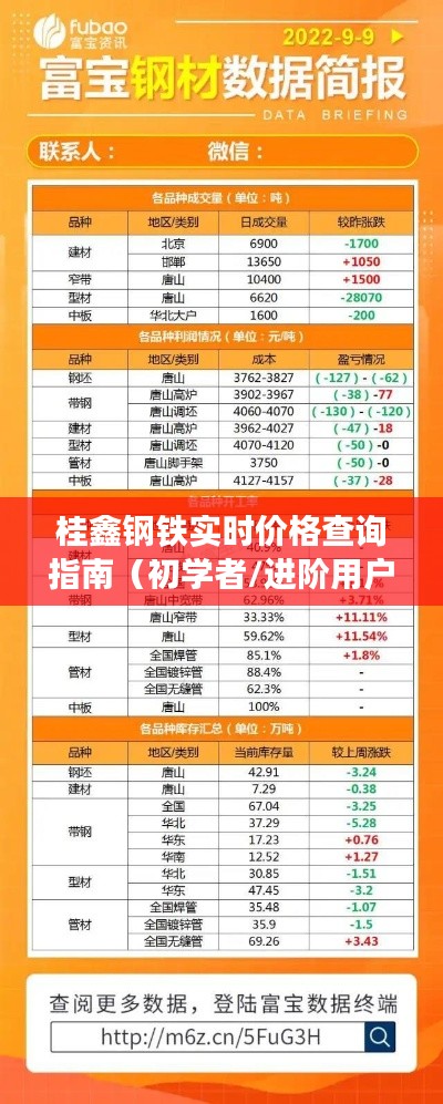 桂鑫钢铁实时价格查询指南,适合初学者与进阶用户参考