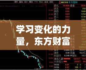 学习变化的力量,东方财富伦铜期货LME实时行情背后的励志故事与成长之旅