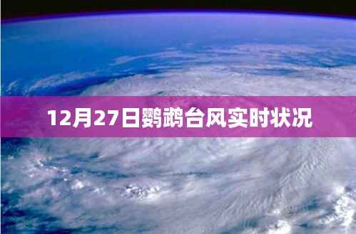 鹦鹉台风最新实时状况(12月27日)