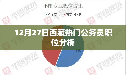 西藏公务员职位分析,热门岗位解读(12月27日)
