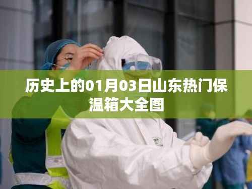 山东热门保温箱大全图,历史日期的独特记忆