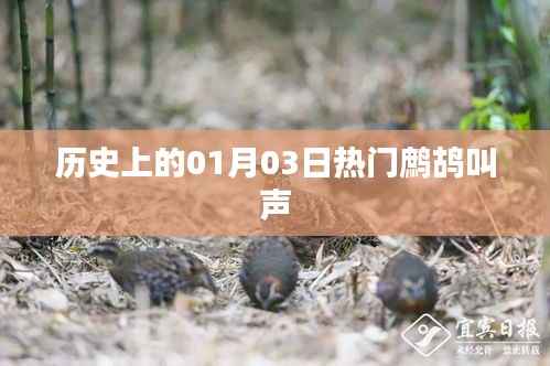 鹧鸪啼鸣日,历史上的今天回顾