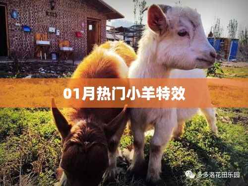 热门小羊特效,引领潮流新风尚!