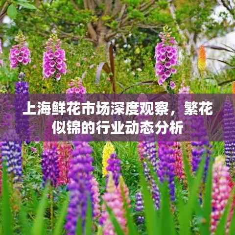 上海鲜花市场深度观察,繁花似锦的行业动态分析
