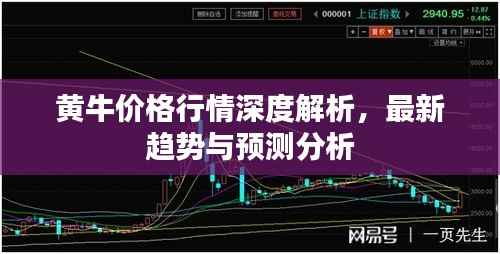 黄牛价格行情深度解析，最新趋势与预测分析